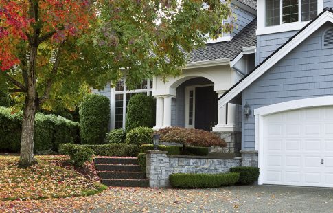 Front yard of blue two-story house next to a maple tree